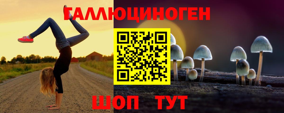 Галлюциногенные грибы MAGIC MUSHROOMS  Псилоцибиновые грибы прущие грибы  Саров  Вход с VPN 